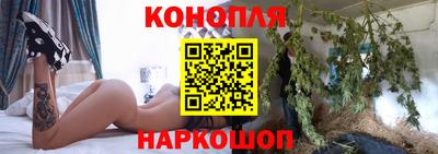 Альфа ПВП Будённовск