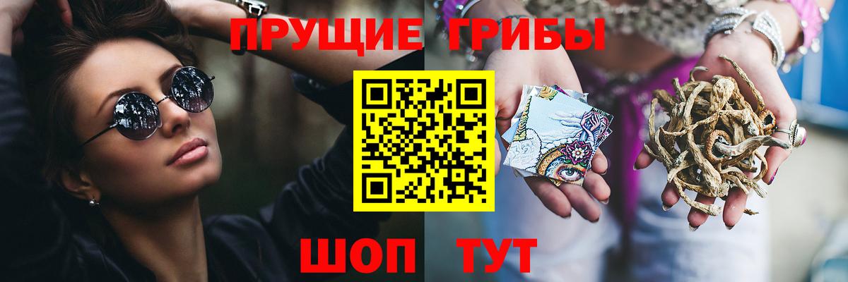 купить   Вход с VPN  Новокуйбышевск  Псилоцибиновые грибы Psilocybe 