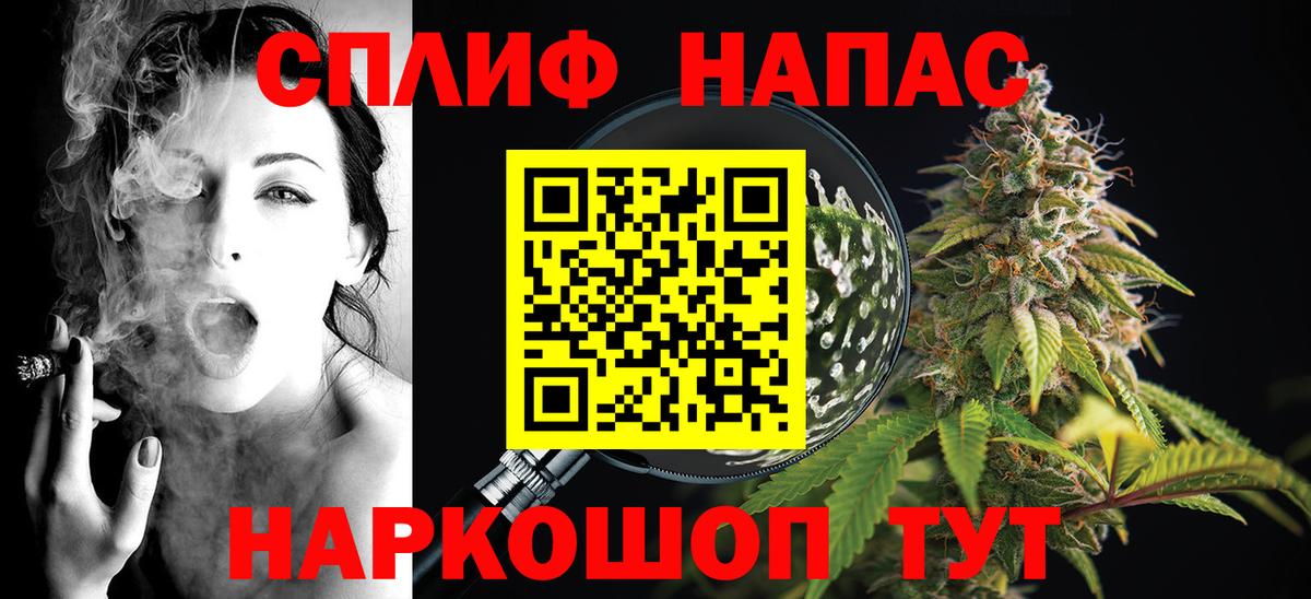 Бошки Шишки VHQ Новокуйбышевск